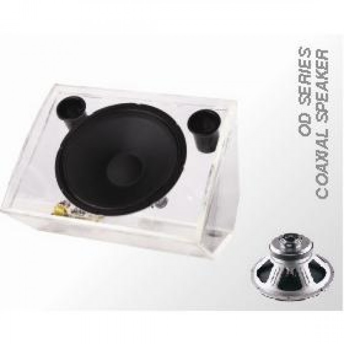 Пассивный сценический монитор BIEMA OD120 04735